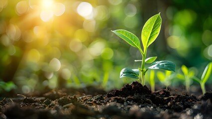 Strategies for Developing Green Businesses with a Focus on Environmental Conservation and Sustainability. Concept Green business, Environmental conservation, Sustainability, Strategic development