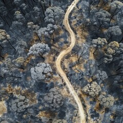 A striking aerial view reveals a forest pathway cutting through scorched trees, emphasizing the stark contrast of destruction and resilient foliage.