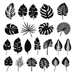 Monstera Leaf Icon Collection, Exotic Leaves Silhouettes, Tropical Plant Symbols, Simple Monstera