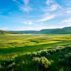 Obraz premium Green expanses, fields