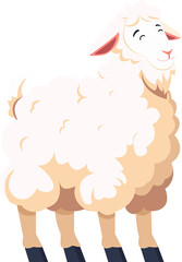 sheep, goats or lambs on the Eid al-Adha holiday