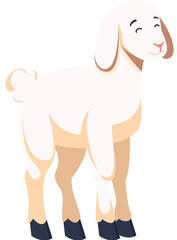 sheep, goats or lambs on the Eid al-Adha holiday