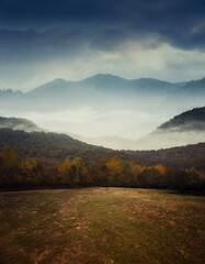 foggy landscape with forest and mountain in the background