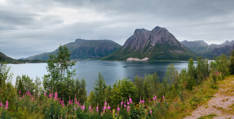 Fjord summer cloudy view with flowers in front (Norway)