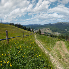 Summer Gorgany massiv mountains scenery view from Sevenei hill (near Yablunytsia pass, Carpathians,...