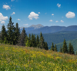 Summer Gorgany massiv mountains scenery view from Sevenei hill (near Yablunytsia pass, Carpathians,...