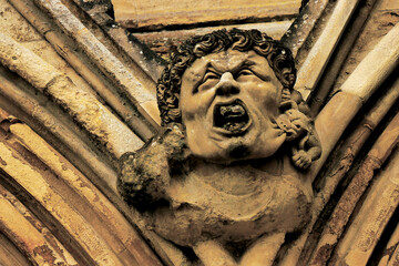 Gargoyle on the side of a cathedral.