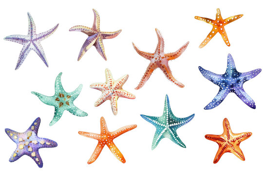 A collection of cute starfish on a white background