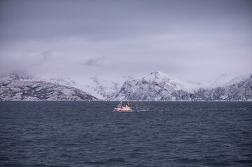 Petit bateau de pêche dans les fjords norvégiens