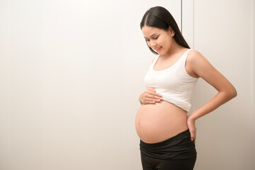 Portrait of Beautiful pregnant woman,  fertility infertility treatment, IVF, future maternity...
