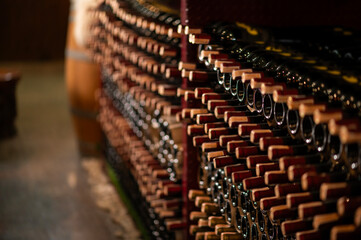 Row of wine bottles on a wooden shelf in a wine cellar