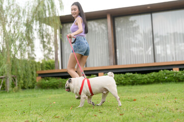 Fototapeta premium Happy asian woman playing with Cute Smart pug Puppy Dog In the Backyard
