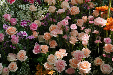 Arrange light orange roses and colorful bouquets in the garden.