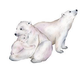 Watercolor animals illustrations. Cute wild animal polar bears silhouette isolated on a white background. Mother's Day card handmade. Save the Arctic. White bear on an isolated white background