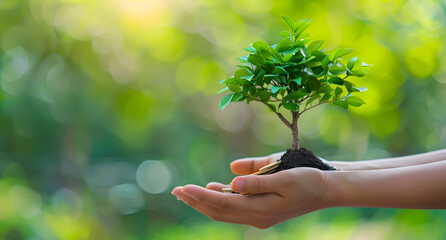 Hand holding tree on blur green nature background. Green environment earth day concept.