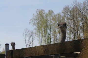 A summer day well spent with lots to do!