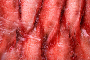 Beaked redfish or Sebastes mentella frozen in a row and seen up close. Full frame background