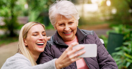 Wheelchair, senior woman and selfie at park for retirement, bonding or rehabilitation. Person with...