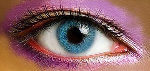 Close up image of healthy human eyes with eyelashes