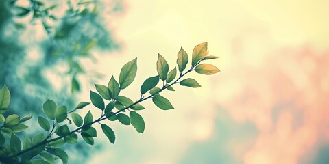 Obraz premium A fresh branch with green leaves stands out with sunlight filtering through, against a soft pastel bokeh background