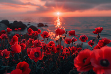 Vibrant poppy flowers by the sea at sunset with rocky shore