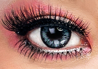 Close up image of healthy human eyes with eyelashes