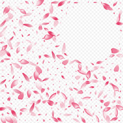 20sht-11__Violet_sakura3_01.eps