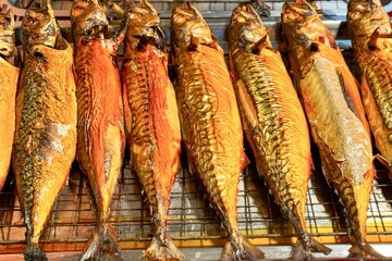 Fresh catching grilled mackerel lined up at outdoor food stall, representing traditional method of...