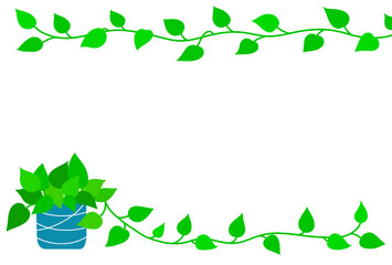 ポトスのフレームポストカード