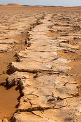 Arid land in the desert