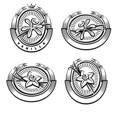 Vanilla labels and elements set. Collection icon vanilla. Vector