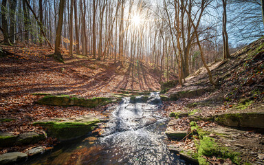 Obanya gorge hiking trail at early spring time. There is a forest where are a small creek with...