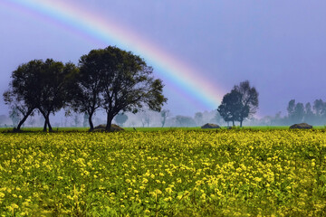 Beautiful landscape photograph of Dehradun India.