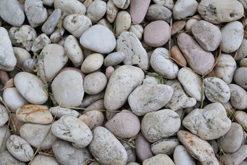 White pebbles arranged naturally look beautiful.