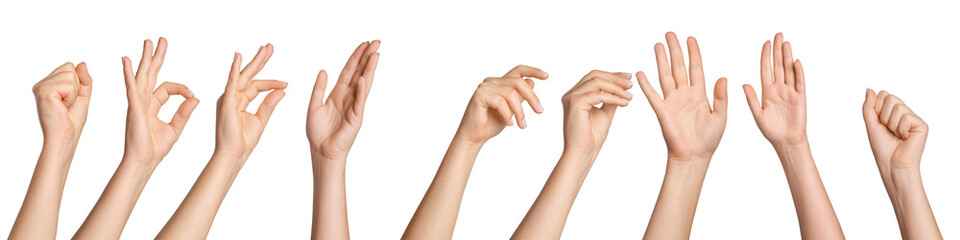 Set of female hands in different poses on a blank background