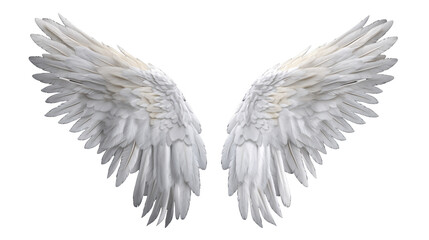 a pair of white wings