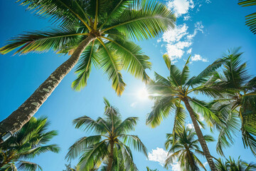 A tropical garden filled with lush coconut trees, their fronds rustling in the gentle breeze under a clear blue sky.