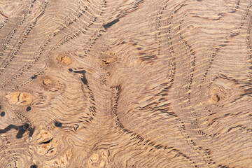 macro photo brown background made of natural wood. A