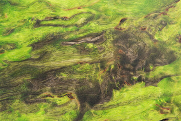 beautiful green background with a wood texture