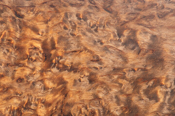 macro photo brown background made of natural wood. A