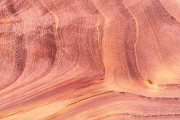 The background with a wood texture on a brown slice.