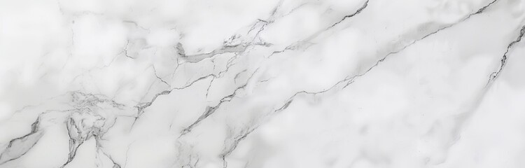 High-Quality White Marble Texture with Detailed Veins.