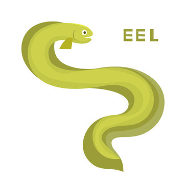 Eel fish. Vector cartoon color green image.