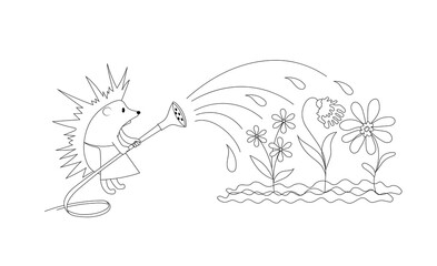 Hedgehog watering flowers. Vector black and white image
