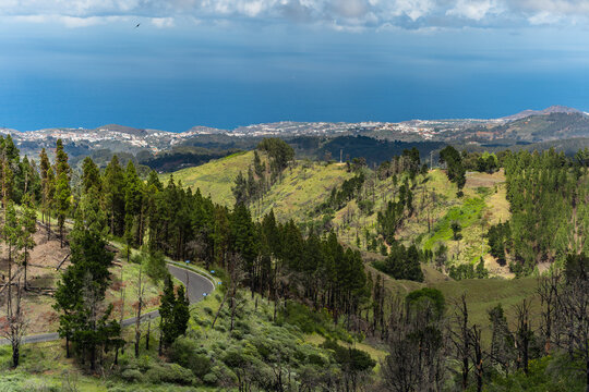 Lomo del Palo landscape with a blue sky. Monte Pavon. Galdar. Gran Canaria. Canary islands