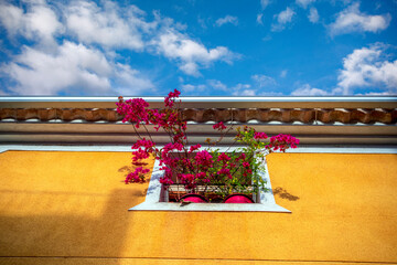 Perspective from below of a traditional yellow facade with fuchsia bougainvilleas of the town of Ojós, in the Ricote Valley, Region of Murcia, Spain with natural light