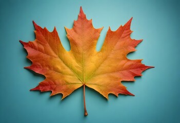 modernist style Vibrant maple leaf with serrated e (3)