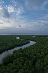 Fototapeta na wymiar Aerial view of vast mangrove forests in Indonesia