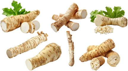 set of horseradish roots with leaves, cut out