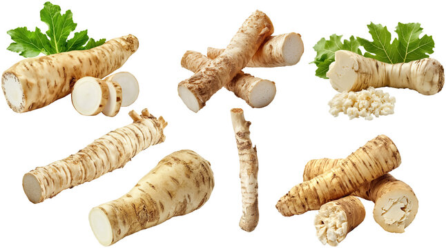 set of horseradish roots with leaves, cut out